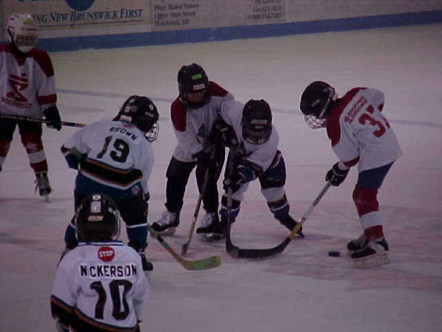 mite12001.jpg