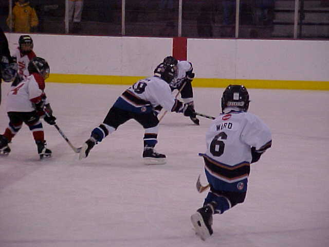 mite2005.jpg